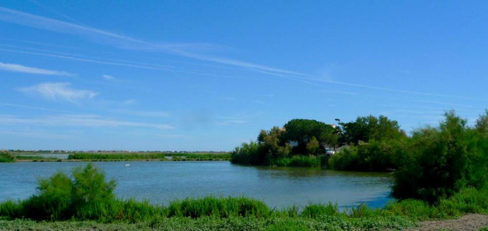 Mas Des Cabidoules Bed and Breakfast Saintes-Maries-de-la-Mer Buitenkant foto